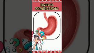 Вікторина: назвеш орган українською?🇺🇦