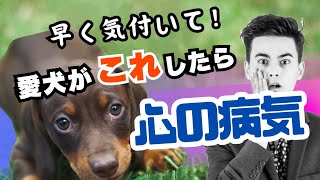 犬が これしたら心の病気！？