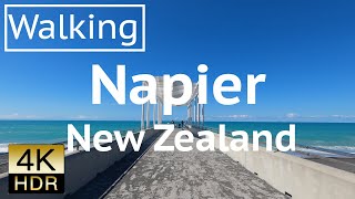 4K - Walking around Napier, New Zealand - ニュージーランド ネイピア中心地の散歩動画