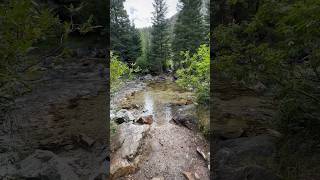 POV: You’re wearing Chacos and come to a river crossing