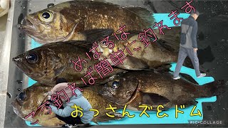 おっさんズ＆ドムin淡路島穴釣りとメバリング！メバルはこうやれば簡単に釣れる！尺メバルか？#メバル#尺メバル#釣り#淡路島#釣り#アウトドア#釣りガール#アジング #アジ#尺アジ#フロート