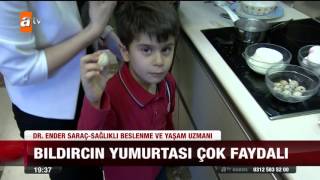 bildırcın yumurtasının faydası