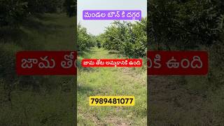 #rjrpropertiesservices #farmlandplots #nationalhighway #farming #agriculturelandforsale