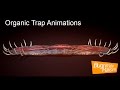 Organic Trap Animations