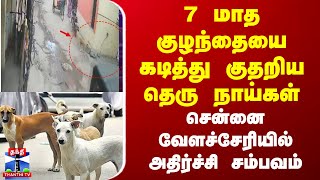 7 மாத குழந்தையை கடித்து குதறிய தெரு நாய்கள்... சென்னை வேளச்சேரியில் அதிர்ச்சி சம்பவம் | Dog Attack