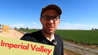 Farmers of the Imperial Valley, CA. (and beekeepers)