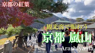 2023年12月1日 京都紅葉🍁 観光客で賑わう京都嵐山を歩く Walking in Arashiyama, Kyoto 【4K】