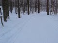 lapham peak new year s day