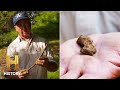 The Curse of Oak Island: Gary Uncovers TWO Outstanding Finds (Season 9)