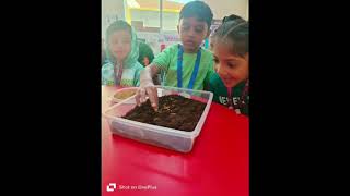 Green day | school | Khadija Fatima || class FS 2 |#appleinternationalschool #dubaischools