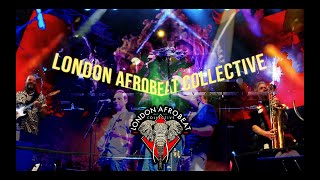 London Afrobeat Collective - LIVE Showreel 2023