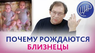 Почему рождаются близнецы. Причины многоплодной беременности. Гузов И.И.