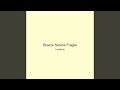 Breeze Serene Fragile