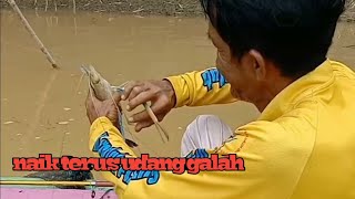 @ronitattonelayan1874  Jadi Pengen Mancing