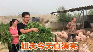 媳妇第一次参观懒汉猪场，看到姐夫穿衣打扮，农哥直夸漂亮