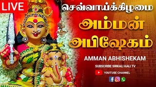 🔴LIVE செவ்வாய்க்கிழமை அம்மன் மஹா அபிஷேக காட்சி பாருங்க | Amman Abhishekam #amman #abhishekam