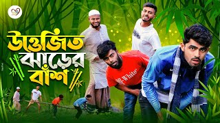 ঝাড়ের বাঁশ যখন উত্তেজিত হয়ে পেছনে প্রবেশ করে | Bangla new funny natok 2024 | Ajaira Public Official