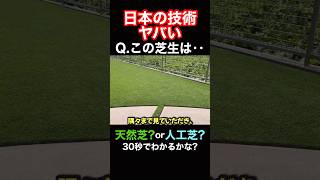 【ほぼ間違える】これは天然芝?人工芝?