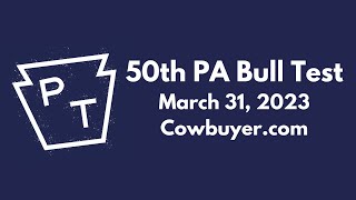 PA Bull Test | Lot 63