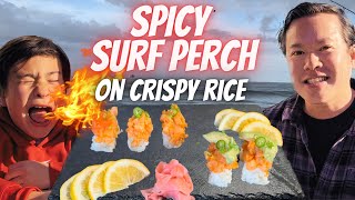 Surf Fishing Catch \u0026 Cook!  Delicious Spicy Surf Perch on Crispy Rice