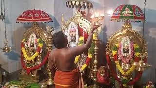 ஸ்ரீ சுடலைமாடசாமி கோவில் மாதாந்திர படப்பு பூஜை...