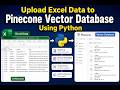 Excel to Pinecone Vector Database (Python Tutorial)