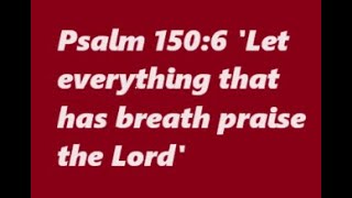 Psalm 150, 'Let everything that has breath praise the Lord' Catholic Bible Study, book of Psalms
