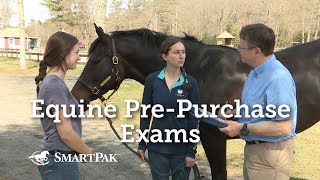 Equine Pre-Purchase Exams