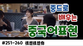 [드라마중국어]很想很想你251-260 | 중드 중국어 | 중국어쉐도잉 ｜흔상흔상니