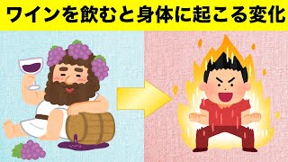 医者はなぜワインを好むのか？ワインと健康の秘密