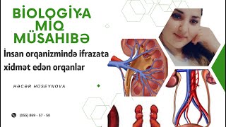 MİQ Biologiya 2023. İnsan orqanizmində ifrazata xidmət edən orqanlar.  İcmal nümunəsi.