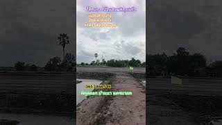 ห้ามพลาด‼️ลมพัดเย็นมาก #โมเมย์ขายที่ดิน #ขายที่ดิน #น้ำไฟพร้อม #ที่ดินสวนเกษตร