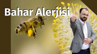 Bahar Alerjisine Ne İyi Gelir? Polen Mevsimleri ve Vakitleri