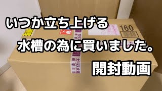 【アクア開封動画】いつか立ち上げる水槽の為に買いました。