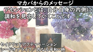 【次元上昇】マカバからのメッセージ/アセンションとは自分自身の内側に調和を見い出していくことです。セイクリッドアクティベーション/シードオブライフ・内なる神聖な空間、他