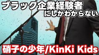 【替え歌】社畜にしかわからない硝子の少年/KinKi Kids歌ってみた