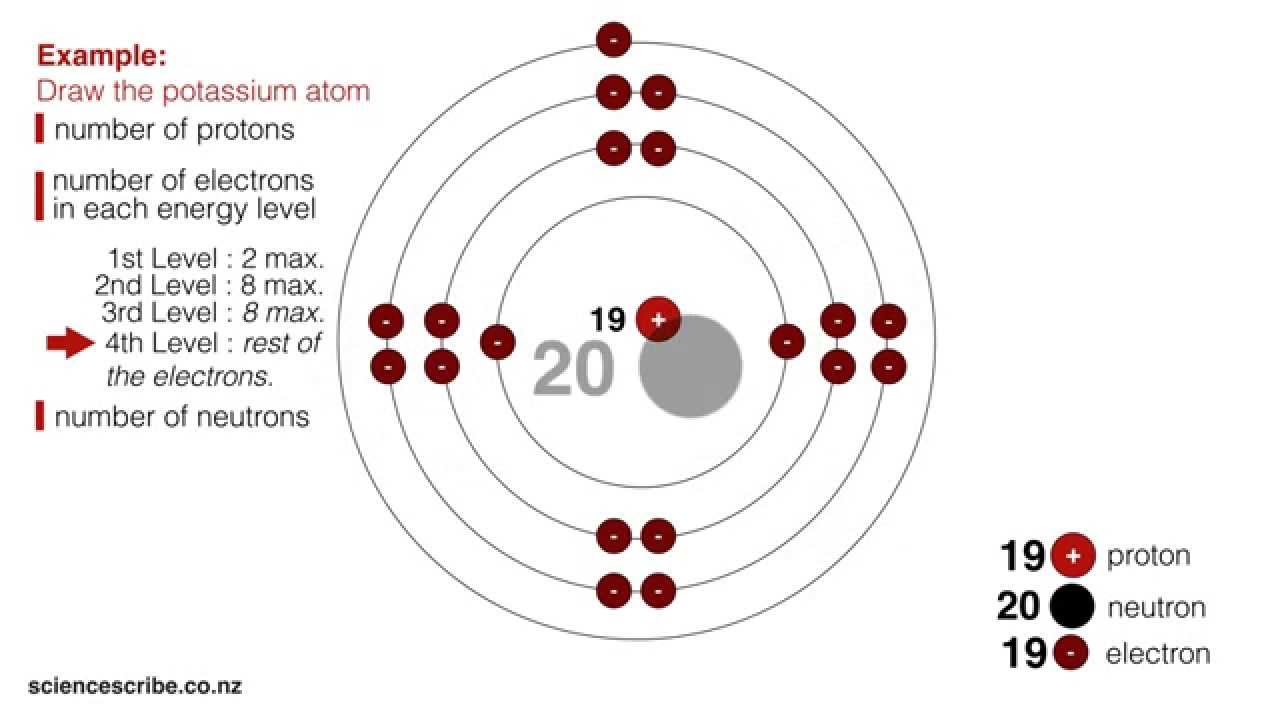 Drawing Atoms Ncea L1 Junior Science Youtube