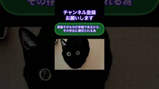 黒猫に横切られたらやばいって本当？　#shorts #怖い話