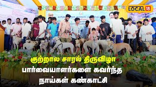 Courtallam Saral Festival | பார்வையாளர்களை கவர்ந்த நாய்கள் கண்காட்சி | Dog Show #local18