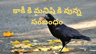 కాకీ కి మనిషి కి వున్న సంబంధం | Motivational Video | Inspirational Video | Power of Motivation