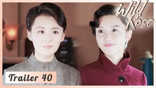 EP 40🌹The sisters really broke up this time😟| Wild Rose | Trailer