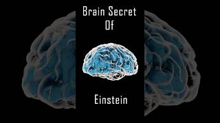 আইনস্টাইনের ব্রেন সাধারণের চেয়ে ছোট ছিল। Top Secrets of Einstein's Brain #fact #bengali #science