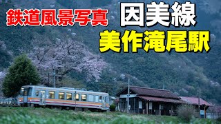 【桜満開】因美線美作滝尾駅を撮影する！単行のキハ120と共に撮影！