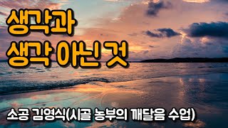 삶은 노력하지 않아도 저절로 펼쳐진다 라는 말의 의미 | 소공 김영식