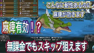 【DQチャンプ】ドラゴンの耐性無視⁉︎麻痺が効きます！無課金でも極級スキップ狙えます‼︎【ドラクエチャンピオンズ】