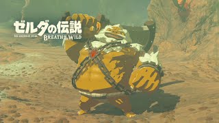 DLC第二弾　英傑ダルケルの詩【ゼルダの伝説　BREATH OF THE WILD】