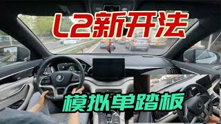 L2辅助驾驶+自主驾驶，不仅安全性更高，还能模拟单踏板