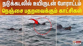 நடுக்கடலில் உயிருடன் போராட்டம்.. நெஞ்சை பதறவைக்கும் பரபரப்பு காட்சிகள்...