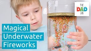 Fascinating Oil & Water Science Experiment for Kids