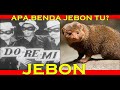 TRIVIA | APA BENDA JEBON DALAM FILEM DO RE MI ITU?